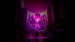 Caritas - Sy Overflow (Official video) #music #caritas #synthwave #syoverflow #pop #retrowave