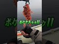 お鍋用の根魚が釣れて明るく楽しい職場になった ヘビさんのアウトドア日誌