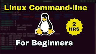 Linux command basics for beginners