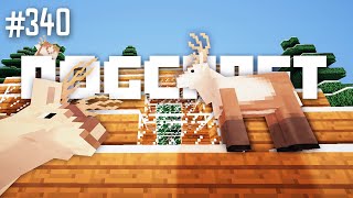 Up on the Wooftop | Dogcraft (Ep.340)