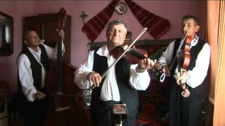 CLUJ, Formatii traditionale IX, Trio Pop Vasile Lia, Joc din Frata, 2014   YouTube