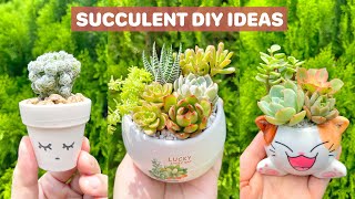 7 Succulent DIY Ideas 🪴|  多肉植物 | 다육이들 | Suculentas