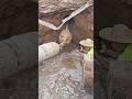 The process of laying pipes of water lines underground