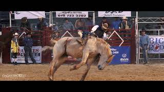 Rodeo Horse Peeing While Bucking