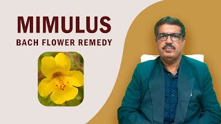 MIMULUS BACH FLOWER REMEDY | EXPLAINED BY DR. KEDARNATH A. LONGANI M.D (HOM) | LONGANI CLINICS