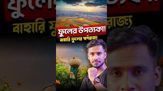 ক্ষীরাই ফুলের স্বর্গরাজ্য 🌼