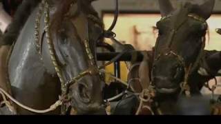【Documentary HQ】 History of Ancient Chinese Weaponry