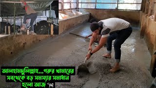 আলহামদুলিল্লাহ,,,গরুর খামারের সবথেকে বড় সমস্যার সমাধান হলো আজ 🐄