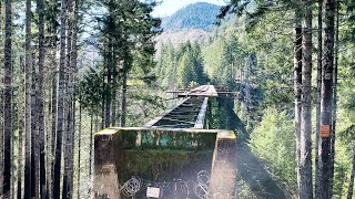 Vance Creek Bridge, dangerous attraction in Shelton, WA | Tri Nguyen | Hiking Trails in Washington