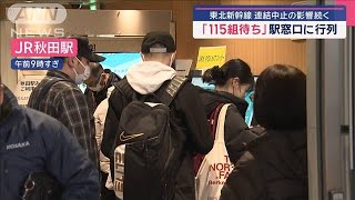 東北新幹線　連結中止の影響続く「115組待ち」駅窓口に行列【スーパーJチャンネル】(2025年3月7日)