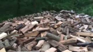 Joe's Premium Firewood inventory as of 08/31/2016