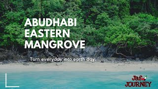 ABUDHABI EASTERN MANGROVE | അബുദാബി മംഗ്‌റോവ് ഫോറസ്റ്റ്