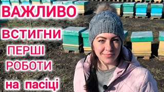 Перші роботи на пасіці. Пластини? Білкова підгодівля? Пробіотики? Сім'я без матки?...