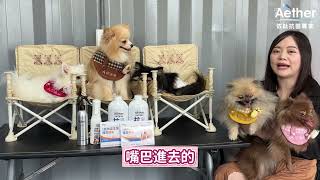 ✨🐾【多犬家庭的清潔救星！】🐾✨嗨！這次我們邀請到星星媽媽來分享她使用Aether依鈦食器洗滌慕斯的心得～🎉