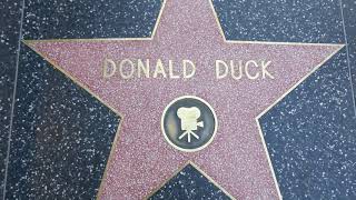 Donald Duck Hollywood Walk of Fame Star Los Angeles California USA March 3, 2023 Disney