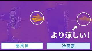 冷風扇マイコン式　扇風機と比較実験