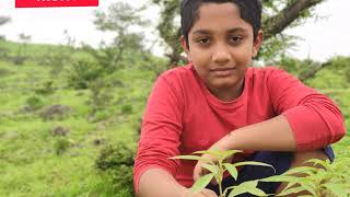 ഇത് സലാല,, മരുഭൂമിയിൽ പച്ചപ്പ് നിറഞ്ഞു നിൽക്കുന്ന നയന മനോഹര കാഴ്ച-Salalah