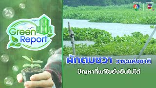 ผักตบชวา วาระแห่งชาติ ปัญหาที่แก้ไขยั่งยืนไม่ได้ | Green Report