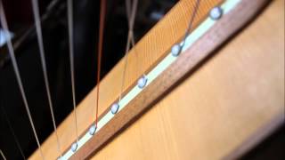 harpist Regina Ederveen plays Psalm 23 on harp