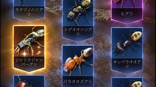 【超神回！】ザ・アンツ（TheAnts）の特級孵化のお得孵化（10連引き）で橙品質特化アリを引き当てる瞬間！！ジャックジャンパーアリGETでやったぜ！！