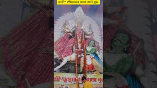 নবদ্বীপ পৌরসভা রাস্তাঘাট যথেষ্ট সুন্দর রেখেছে #shorts #nabadwip #rash #rashyatra #road #beautiful