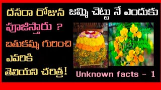 దసరా రోజున జెమ్మి చెట్టు నే ఎందుకు పూజించాలి - బతుకమ్మ గురించి చరిత్ర లో దాగిన నిజం ఏమిటి?