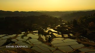 NIIGATA【一生に一度は見たい新潟の絶景】星峠の棚田／DRONE 4K