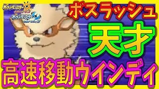 【猫のポケモンUSUM】強者しか参加できないボスラッシュに猫が挑む2【ポケモンウルトラサン ウルトラムーン】【ダブルバトル】