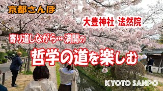 [京都お散歩4K] 2023/3/31 桜が散る前に・・・『哲学の道』と寄り道周辺散歩 kyoto