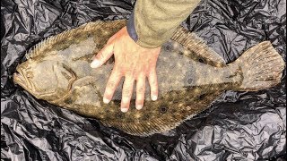 Doormat Fluke on the Fly: Catch and Cook