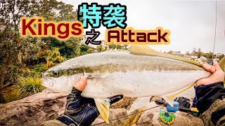 【Jack's Fishing life vlog#68】😜😮😮kings 之突袭！！浮水鱼都进内湾了？#Sydney fishing#king fish#how to catch king！