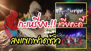 ฟาดข้าว !! ประเพณีบ้านเวียคะดี้