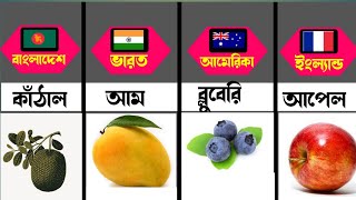 COMPARISON: বিভিন্ন দেশের জাতীয় ফল