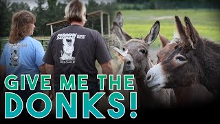 Donkeys! HSH S4E18