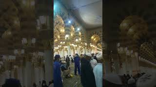 Ya Taiba | Masjid E Nabawi