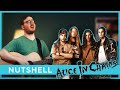 Alice In Chains - Nutshell (live acoustic cover by Toni Linke)