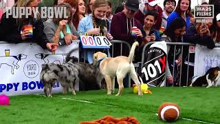 Puppy Bowl 2023 Animal Planet World Special for Mission Pets Alive & World Animal Rescue Network