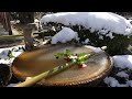 【4k 雪の京都】金閣寺　銀閣寺　詩仙堂　圓光寺　哲学の道　snowy kyoto　kinkakuji ginkakuji shisendo enkoji philosophy road