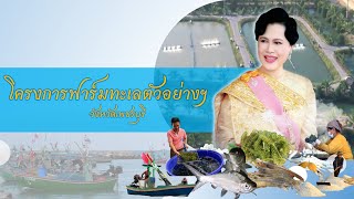 สืบสานพระราชปณิธาน สู่การพัฒนาประมงที่ยั่งยืน ตอน ฟาร์มทะเลตัวอย่าง