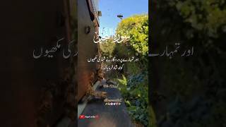 Surah AN-NAHL 🤲||Beautiful translation of Surah ✨♥️🎧|| #2024 #surah #viral #explore #fypシ #foryou