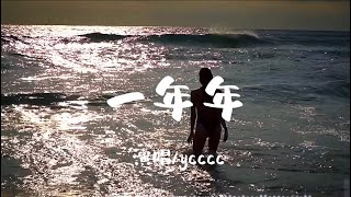 一年年-ycccc 「我对你不再期许 希望下次再别相遇」【动态歌词/Vietsub/Pinyin Lyrics】