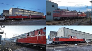 DD51 842+EF81 81 展示回送 2日目