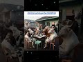 Qurbani Mubarak #eid #sirmukhan #foryou #shorts #shortsfeed #youtubeshorts #viralshorts #shortvideo