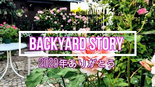 【ガーデニング】backyard story 裏庭物語　２０２０年ありがとう振り返り動画　本年中は沢山の方からご覧いただきありがとうございます。来年はどんな庭になるか自分でも今から楽しみです。