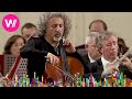 Mischa Maisky: Max Bruch - Kol Nidrei, Op. 47 (Yuri Temirkanov)