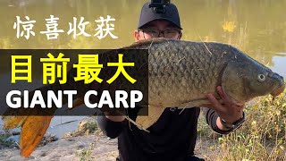 竟然在 明尼苏达河 钓到 超大的 GIANT CARP (鲤鱼) 还差点拉不回来 旁人都看呆了 (美国钓鱼 Ep 3)