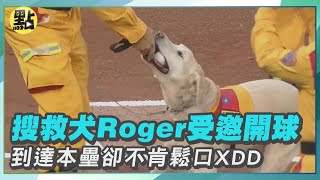 【點新聞】搜救犬超歡樂開球儀式！Roger「咬球直奔本壘」不肯鬆口 只好把球球給牠XD