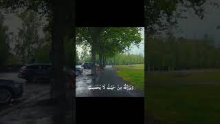 قران مجید ایات شریف🧠❤☝       (بسم اللہ الرحمن الرحیم)