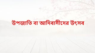 উপজাতি বা আদিবাসীদের উৎসব