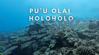 Holoholo Trip with Ali'i Nui | Scuba Diving at Pu'u Olai, Maui